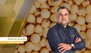 Marcos Araújo - Analista da Agrinvest