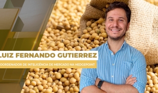 Luiz Fernando Gutierrez - Coordenador de Inteligência de Mercado na Hedgepoint