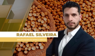 Rafael Silveira - Analista de Soja na Safras & Mercado