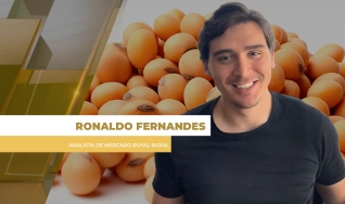 Ronaldo Fernandes - Analista de Mercado Royal Rural