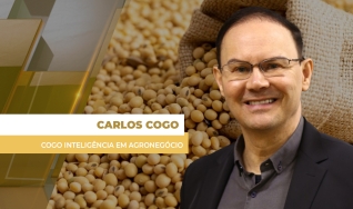 Carlos Cogo - Cogo Inteligência em Agronegócio