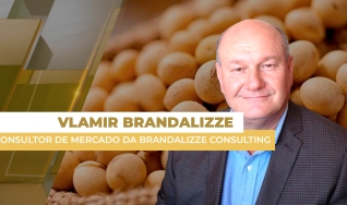 Vlamir Brandalizze - Consultor de Mercado da Brandalizze Consulting