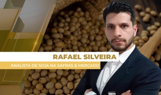 Rafael Silveira - Analista de Soja na Safras & Mercado
