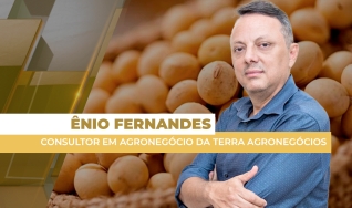 Ênio Fernandes - Consultor em Agronegócio da Terra Agronegócios