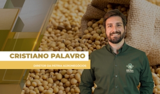 Cristiano Palavro - Diretor da Pátria Agronegócios