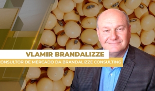 Vlamir Brandalizze - Consultor de Mercado da Brandalizze Consulting