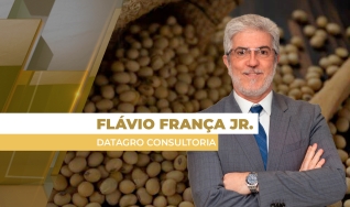 Flávio França Jr. - Chefe do Setor de Grãos da Datagro Consultoria
