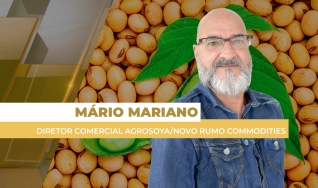 Mário Mariano Moraes Júnior - Diretor Comercial Agrosoya/Novo Rumo Commodities