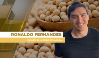 Ronaldo Fernandes - Analista de Mercado Royal Rural