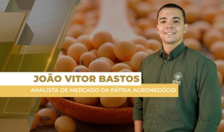 João Vitor Bastos - Analista de Mercado da Pátria Agronegócio