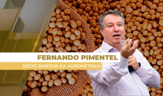 Fernando Pimentel - Sócio Diretor da Agrometrika