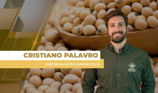 Cristiano Palavro - Diretor da Pátria Agronegócios