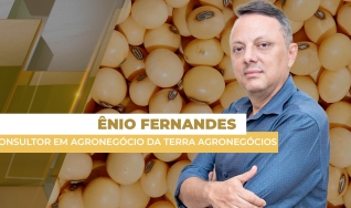 Ênio Fernandes - Consultor em Agronegócio da Terra Agronegócios
