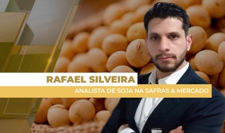 Rafael Silveira - Analista de Soja na Safras & Mercado