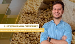 Luiz Fernando Gutierrez - Coordenador de Inteligência de Mercado na Hedgepoint