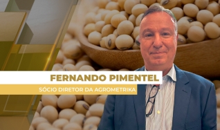 Fernando Pimentel - Sócio Diretor da Agrometrika