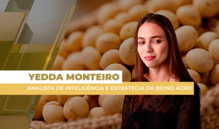 Yedda Monteiro - Analista de Inteligência e Estratégia da Biond Agro