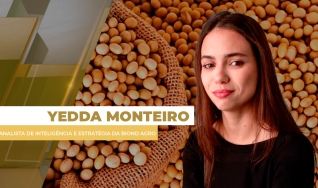 Yedda Monteiro - Analista de Inteligência e Estratégia da Biond Agro
