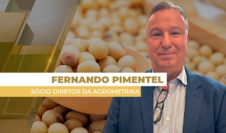 Fernando Pimentel - Sócio Diretor da Agrometrika