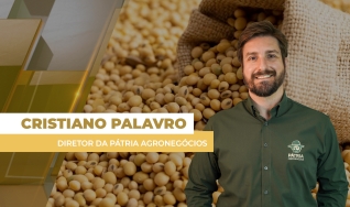 Cristiano Palavro - Diretor da Pátria Agronegócios