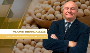 Vlamir Brandalizze - Consultor de Mercado da Brandalizze Consulting