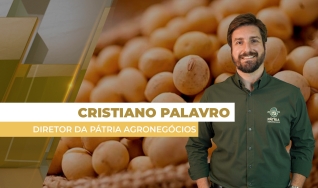 Cristiano Palavro - Diretor da Pátria Agronegócios