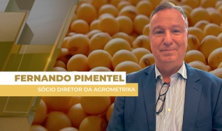 Fernando Pimentel - Sócio Diretor da Agrometrika