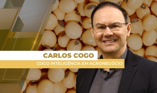 Carlos Cogo - Cogo Inteligência em Agronegócio