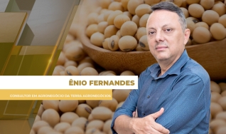 Ênio Fernandes - Consultor em Agronegócio da Terra Agronegócios