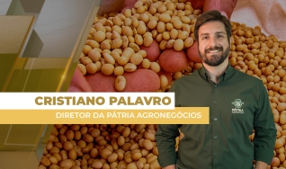 Cristiano Palavro - Diretor da Pátria Agronegócios