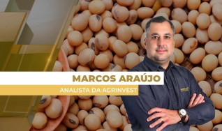 Marcos Araújo - Analista da Agrinvest