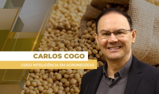 Carlos Cogo - Cogo Inteligência em Agronegócio