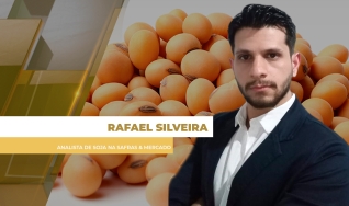 Rafael Silveira - Analista de Soja na Safras & Mercado