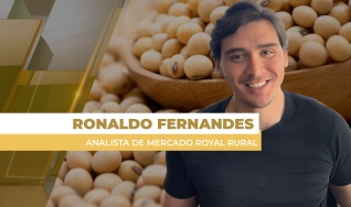 Ronaldo Fernandes - Analista de Mercado Royal Rural