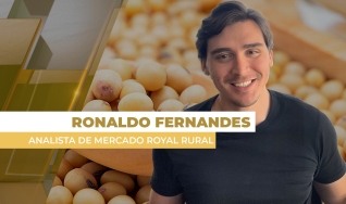 Ronaldo Fernandes - Analista de Mercado Royal Rural
