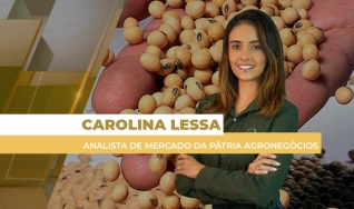 Carolina Lessa - Analista de Mercado da Pátria Agronegócios