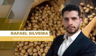 Rafael Silveira - Analista de Soja na Safras & Mercado
