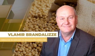 Vlamir Brandalizze