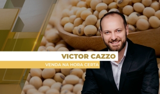 Victor Cazzo - Consultor de Mercado Venda na Hora Certa