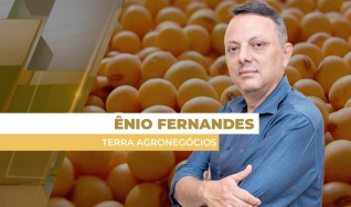 Ênio Fernandes - Consultor em Agronegócio da Terra Agronegócios