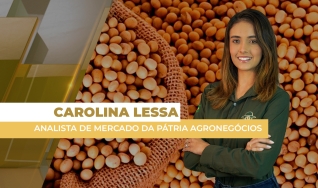 Carolina Lessa - Analista de Mercado da Pátria Agronegócios