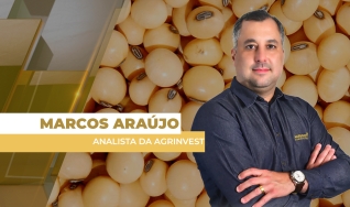 Marcos Araújo - Analista da Agrinvest