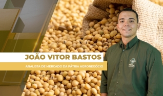 João Vitor Bastos - Analista de Mercado da Pátria Agronegócio