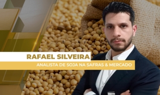 Rafael Silveira - Analista de Soja na Safras & Mercado