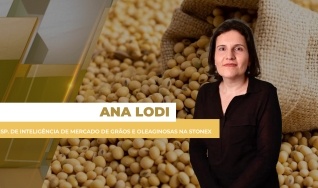 Ana Luiza Lodi - Esp. de Inteligência de Mercado de Grãos e Oleaginosas na StoneX