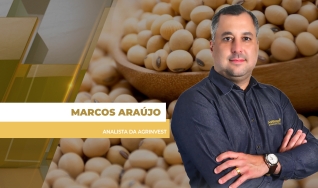 Marcos Araújo - Analista da Agrinvest