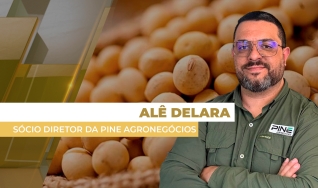 Alê Delara - Sócio Diretor da Pine Agronegócios