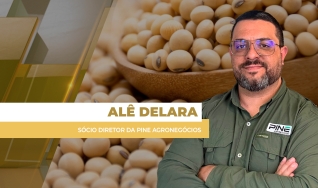 Alê Delara - Sócio Diretor da Pine Agronegócios