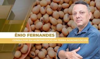 Ênio Fernandes - Consultor em Agronegócio da Terra Agronegócios