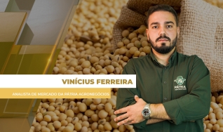 Vinícius Ferreira - Analista de Mercado da Pátria Agronegócios
